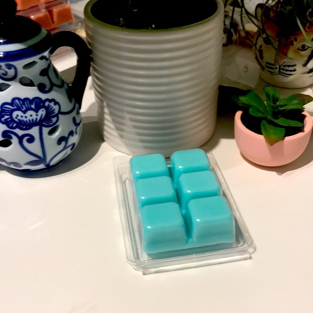 Cinnamon Rolls Wax Melt Tart Warmers Aqua Qty 1 Hand Crafted Final Sale
